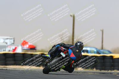 media/Apr-09-2022-SoCal Trackdays (Sat) [[c9e19a26ab]]/Turn 16 (2pm)/